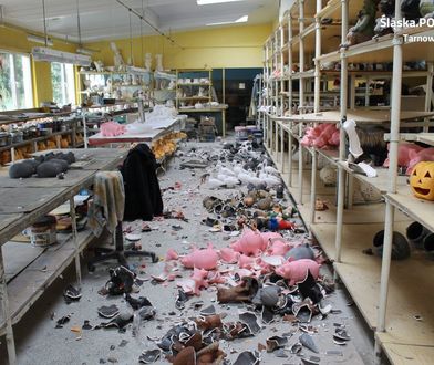 Ukrainiec zdemolował skład porcelany. Policji powiedział, że "bal dopiero się zaczyna"