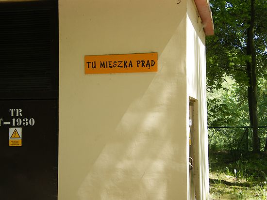 Obraz