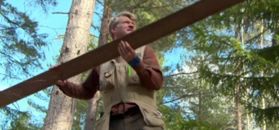 Mały dom na drzewie z widokiem na jezioro