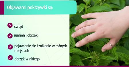 Co to jest pokrzywka?