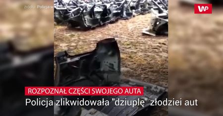 Namierzyli "dziuplę". Na podwórku było ich jeszcze więcej