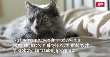 Jak często powinno się prać pościel. Badania naukowców nie pozostawiają wątpliwości