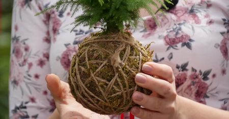 Kokedama. Kawałek japońskiego ogrodu w domu