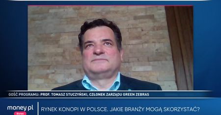 Program Money.pl 25.01 | Polska branża konopi szybko się rozwija. "Mamy swoje 5 minut"