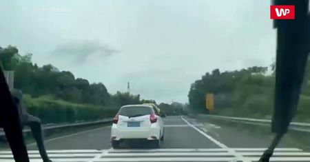 Ogromny pyton na samochodzie na autostradzie w Chinach