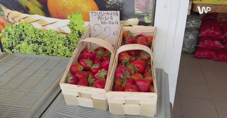 Polskie truskawki za ponad 20 zł za kg. Wiemy, kiedy będzie taniej