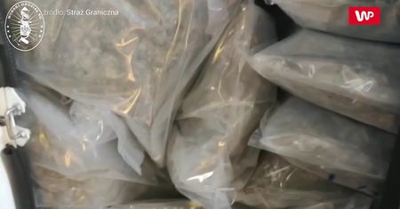 Gigantyczny przemyt narkotyków. Straż Graniczna przejęła ładunek za blisko 3 miliony złotych