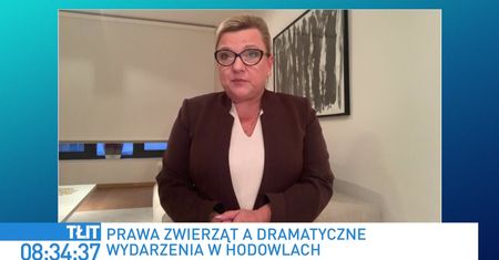 Tłit - Beata Kempa