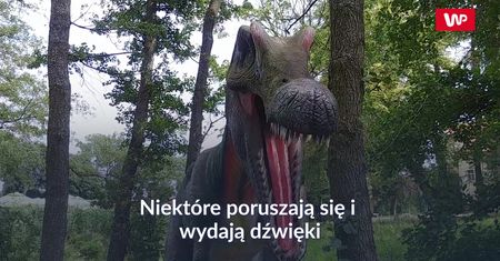 Park Ewolucji. Idealna atrakcja na weekend z dziećmi