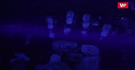 Oto co naprawdę masz na rękach. Test z lampą UV