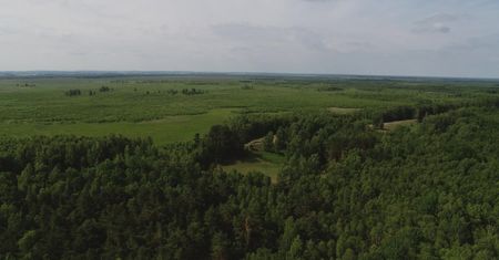 Biebrzański Park Narodowy: unikatowy teren na skalę europejską