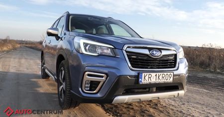 Subaru Forester e-boxer - wymyka się z definicji SUV-a