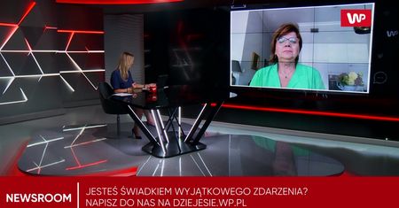 Newsroom WP
