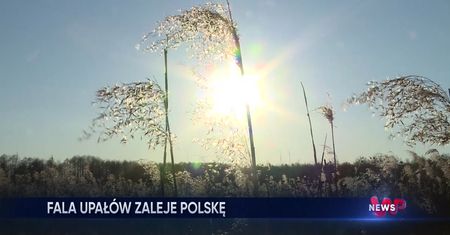 WP News wydanie 16.06, godzina 11:50