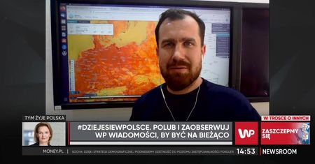 Newsroom WP
