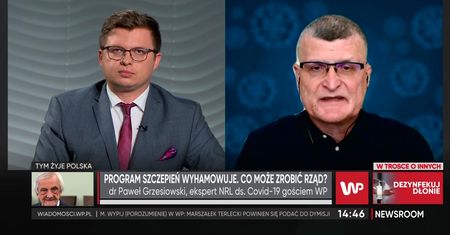 Newsroom WP