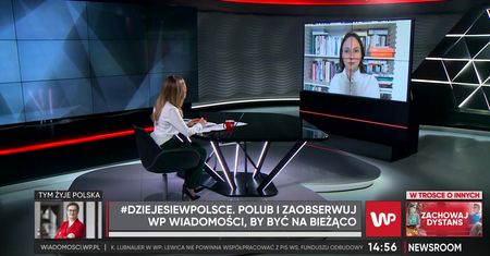 Newsroom WP