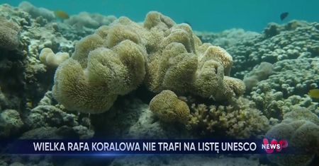 WP News wydanie 28.07, godzina 11:50