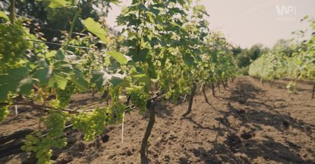 Prowadzą agroturystykę w Polsce.  "To było małe, podupadłe gospodarstwo"