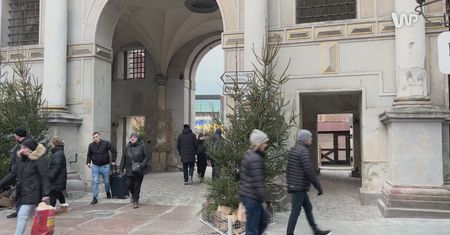 Wstydliwy zakątek w polskim mieście. Zdjęli szpecące ogrodzenie, a tam niespodzianka