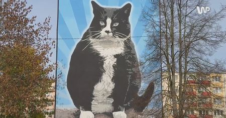 O Gacku słyszał cały świat. Odsłonięto mural wyjątkowego kota