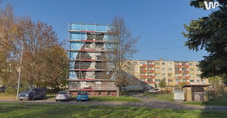 Wyjątkowy mural w polskim mieście. Powstał na cześć kota