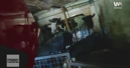 Pilne wezwanie. Strażacy wydali polecenie, lecz odmawiał