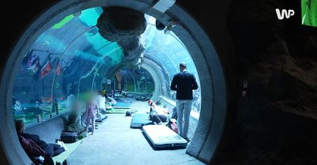 Straszne nocowanie pod wodą. Wydarzenie przyciąga turystów z całej Polski