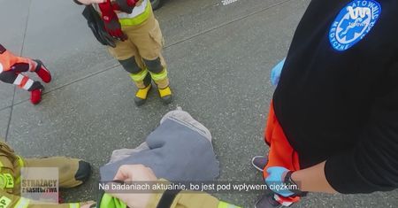Ranny pies leżał na jezdni. Ten widok chwyta za serce