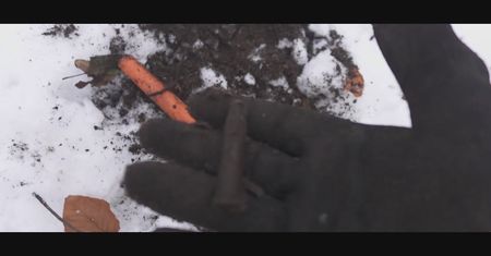 Tu była wojna. Niezwykłe odkrycie w lesie