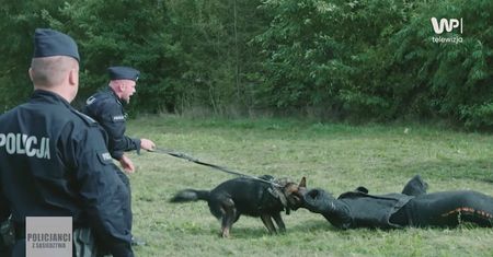 "Napastnik z nożem" kontra policyjny pies. Wystarczyła komenda