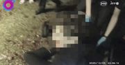 Nagranie, które wstrząsnęło Wielką Brytanią. Ostatnie chwile Henry’ego Nowaka ujawnione