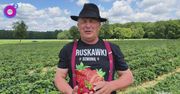 Samozbiory w Boże Ciało. Rolnik nie czeka. "W drodze wyjątku"