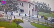 Nagranie z Osieku. 86-latek wjechał w 10-latka
