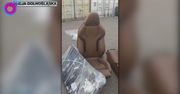 Magazyn pełen części z luksusowych aut. Duże odkrycie policji
