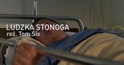 TOP 5: najbardziej odrażające filmy