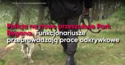 Poszukiwania Iwony Wieczorek wznowione
