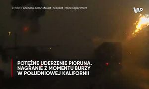 Ogień, iskry i ciemność. Moment uderzenia pioruna nagrany w USA