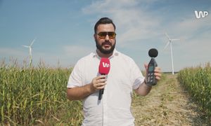 "Niech cała Polska wie". Zmierzyliśmy głośność wiatraków