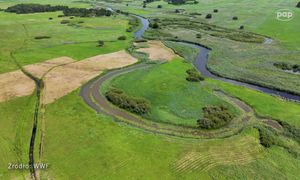 Największy problem Ziemi. "Musimy pomyśleć, co chcemy zostawić pokoleniom"