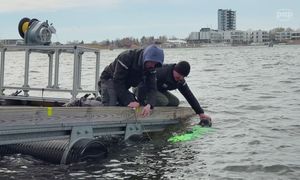 "Pirania" widziana w Bałtyku. Prototyp podwodnego drona w akcji