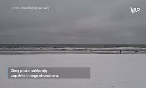 Wideo z plaży w Gdańsku. Była godz. 8 rano