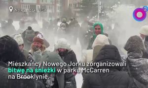 Zimowe szaleństwo w Nowym Jorku. Mieszkańcy zorganizowali bitwę na śnieżki