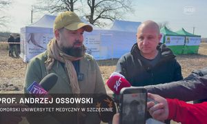 Prace na Wołyniu. Szukają szczątków Polaków