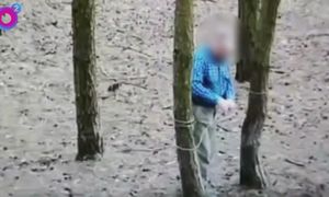 Monitoring znalazł kłusownika. Tak złapano 76-latka