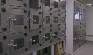 Co ok. 20 minut dostają zgłoszenie. W stolicy rusza wielka akcja