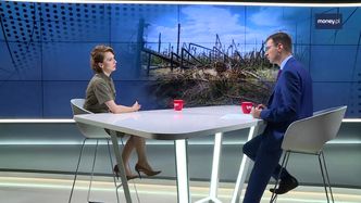 Lasy Państwowe wciąż walczą ze skutkami huraganu z 2017 roku. Wydały już 700 mln zł