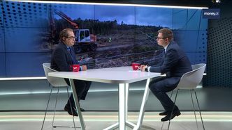 Przekop Mierzei Wiślanej. Bursztynu za mało, konieczne wsparcie z budżetu