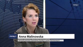 Co dalej ze sklepami Lasów Państwowych? Malinowska: zmiana planów