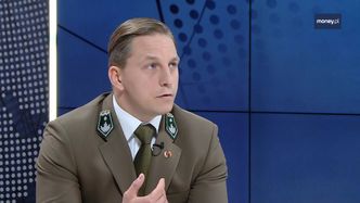 Susza zbiera żniwo. Lasy płoną jak nigdy